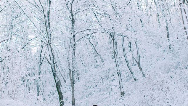 ロシアのスーズダリTripメモリー【写真撮影・ビデオ撮影・同行撮影・ドローン撮影・同伴撮影・撮影予約・ポートレート・ウェディング・ショートフィルム/多言語翻訳】