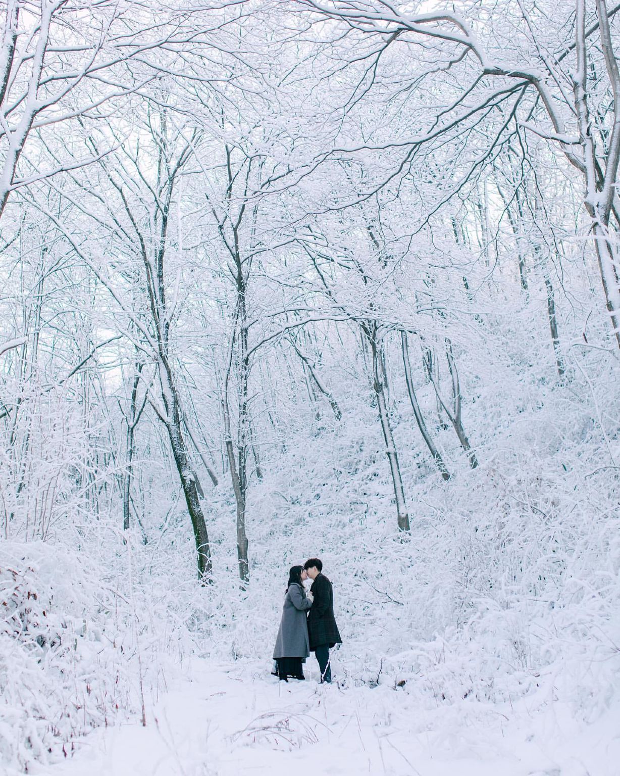 Khoảnh khắc Du lịch tại Suzdal, Nga[Tài xế kiêm hướng dẫn viên + Khoảnh khắc Du lịch + Ảnh cưới chụp từ drone + Phim ngắn + Trang điểm + Trang phục + Thiết kế lịch trình]