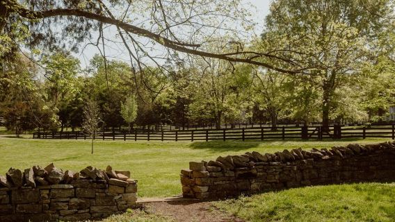 Tur Pertempuran di Belle Meade + Pencicipan Anggur