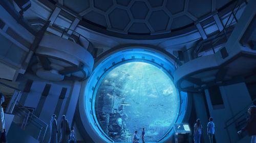Abu Dhabi Attraction: Sea World Abu Dhabi Day Tours 2