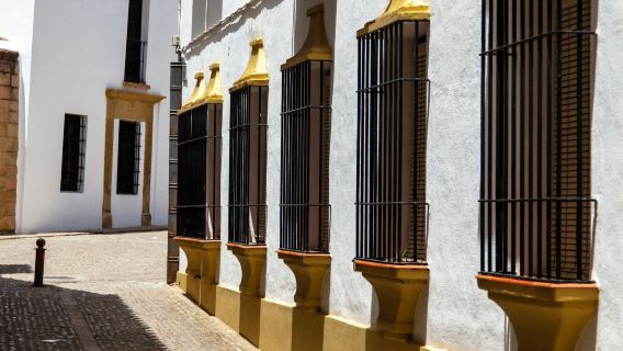 White Villages and Ronda: Day Trip from Seville