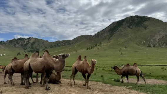 蒙古烏蘭巴託一日遊【純玩小團|包車接送】