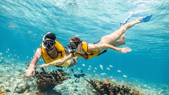 Snorkelling experience for non-swimmers in Cancun