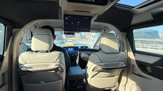 香港包車/散拼一日遊【包車指定埃爾法+上門接送+絲滑過關】