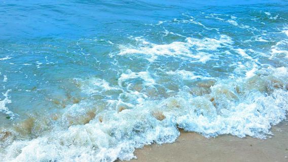 Maoming Langman Hai'an (“Romantic Coast”) International Tourism Zone + Gaozhou Xianren Cave Scenic Area 1-day tour - English service available