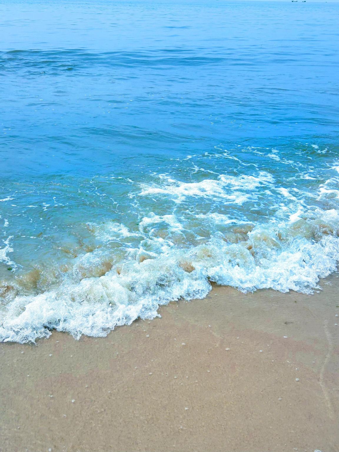 Lawatan sehari ke Peranginan Pelancongan Antarabangsa Pantai Romantik Maoming + Tarikan Pelancongan Gua Xianren Gaozhou - Perkhidmatan dalam Bahasa Inggeris tersedia