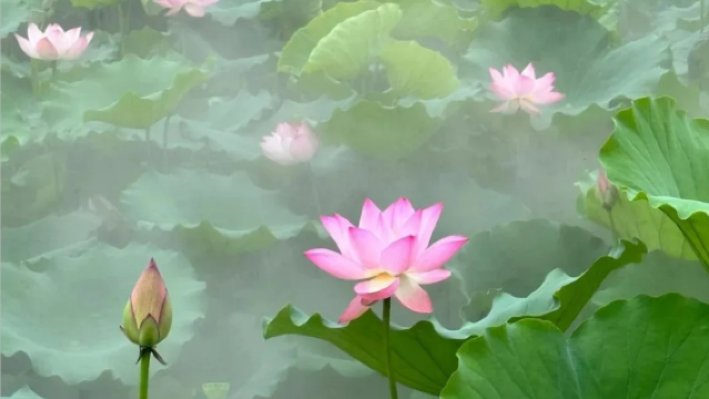 บริการไกด์นำเที่ยวและล่ามภาษาต่างประเทศในกุ้ยหลิน/หยางซั่ว ประเทศจีน | ไกด์นำเที่ยวภาษาอังกฤษ/ญี่ปุ่น/เกาหลี/ฝรั่งเศส | บริการล่ามธุรกิจ | บริการเหมารถรับส่ง | ทัวร์เหมารถส่วนตัวแบบกำหนดเอง