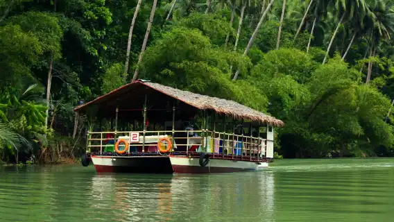 Bohol Island Landmark Highlights 1-day Tour: Chocolate Hills + Tarsier + Loboc River and More