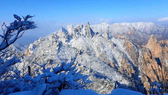 Winter Only | From Seoul: Seoraksan, Eobi Valley, and Nami Island one-day tour