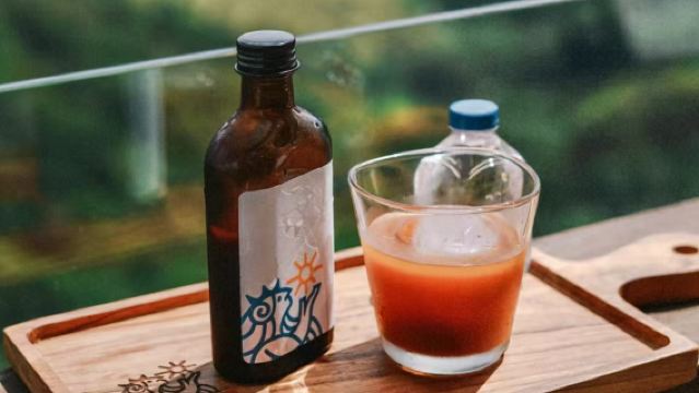 Lawatan sehari mengejar lumba-lumba di Lovina Bali + gunung berapi [termasuk kedai kopi viral + pemandu pelancong berbahasa Cina]