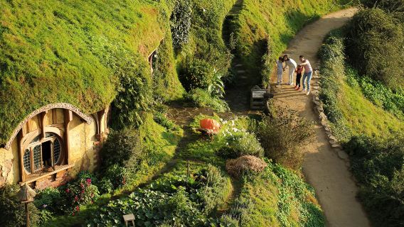 Hobbiton Movie Set one-day tour in New Zealand | Immersive Middle-earth Experience