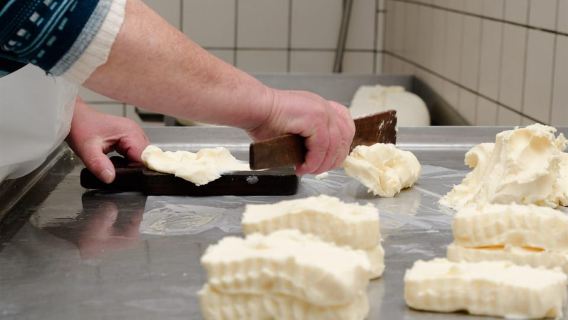 Vico Equense : Visite de la fromagerie « Mozzarella Experience »