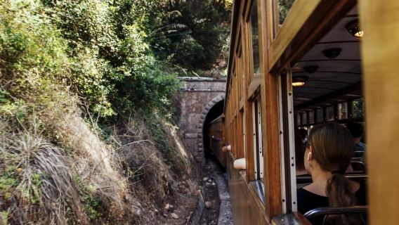 Maiorca: tour esclusivo di mezza giornata in treno e tram a Soller