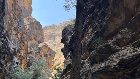 Wadi Lajab Canyon Hiking Tour