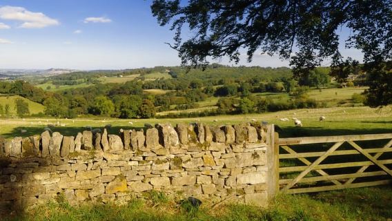 From London: Full-Day Cotswolds Small-Group Tour