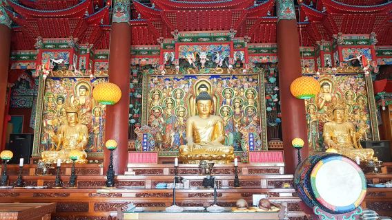 Busan: Day Trip with Gamcheon Culture Village and Sky Walk