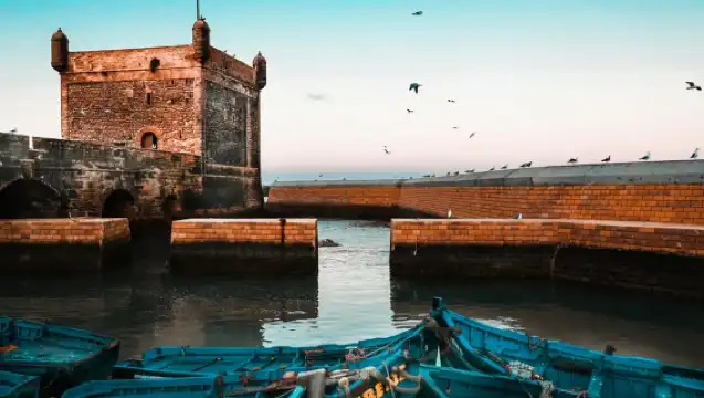 From Marrakesh: Small Group To Essaouira With Opt Activities