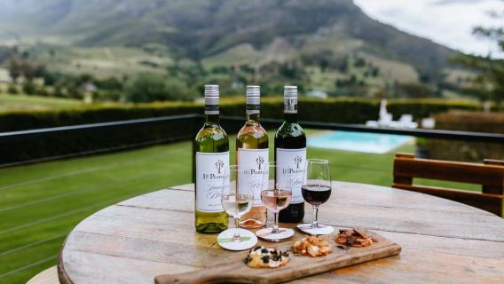 Full-Day Private: Best of the Cape