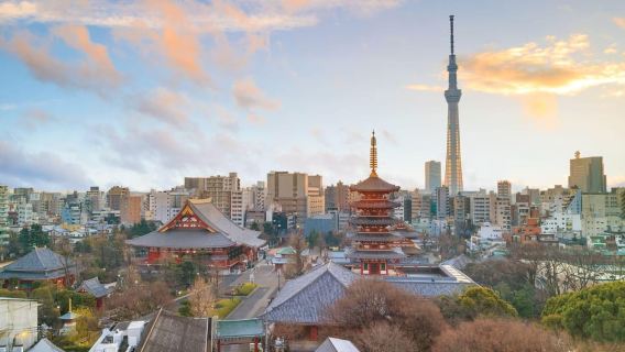 Tokyo: Half-Day Morning Small Group Tour