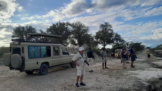 Dar es Salaam: Mikumi National Park Day Trip with Train Ride