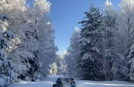 芬蘭羅瓦涅米聖誕長者村+雪橇之旅【中文司機+北歐全線定制遊】