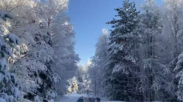 芬蘭羅瓦涅米聖誕老人村+雪橇之旅【中文司機+諮詢優惠】