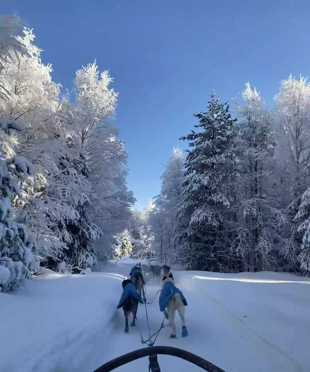 芬蘭羅瓦涅米聖誕長者村+雪橇之旅【中文司機+北歐全線定制遊】