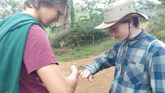 Moshi: Materuni Village and Waterfalls Day Trip with Lunch
