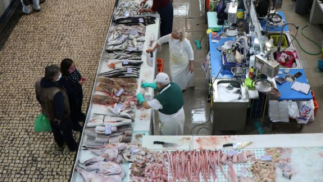 伝統的なセトゥーバル料理のプライベートテイスティング体験