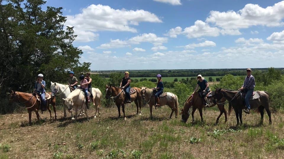 Austin: Maverick Horsemanship Trail Ride