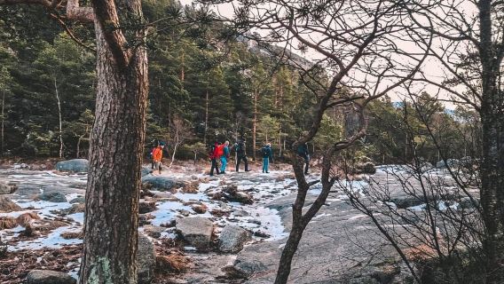 Du thuyền Lysejorden và chuyến đi bộ đường dài có hướng dẫn viên Preikestolen - mùa đông