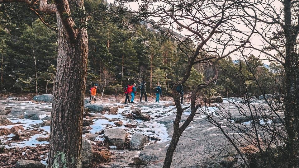 Lysefjorden cruise & Preikestolen guided hike - winter