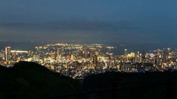 Kobe: escursione notturna e tour con esperienza culinaria locale