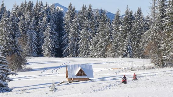 Zakopane: Ekspedisi Mobil Salju dan Api Unggun Opsional