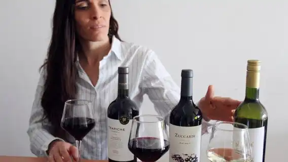 ชิมไวน์อาร์เจนตินาระดับพรีเมียมและทัวร์ชมศิลปะในเมือง