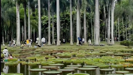 Xishuangbanna: Private 1-day tour to Botanical Garden + Dai Garden