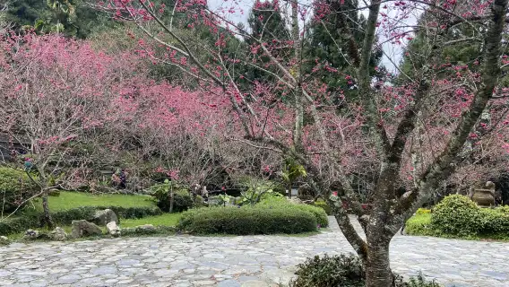 Formosan Aboriginal Culture Village + Sun Moon Lake Ropeway + Taiwan Sun Moon Lake Wenwu Temple 1-day tour join-in tour buy 1 get 1 free