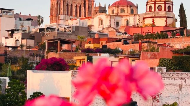 墨西哥墨西哥城市區網紅景點打卡憲法廣場等-包車一日遊