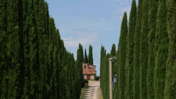 義大利羅馬+Val d'Orcia+錫耶納+佛羅倫斯