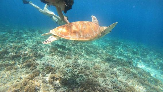 Gili islands: Sunset and snorkeling tour with go pro