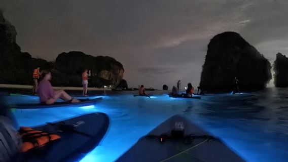 Escursione in barca notturna: nuota con il plancton bioluminescente