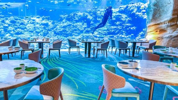 Zhuhai Chimelong Spaceship Hotel Spaceship Coral Restaurant Buffet Lunch