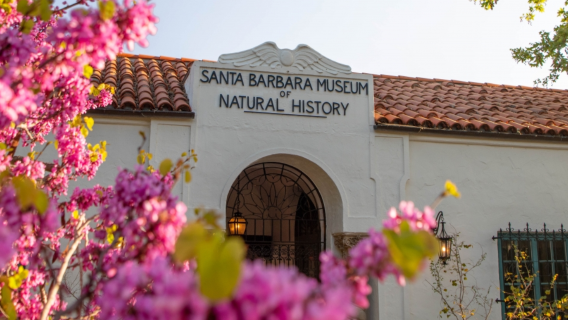 Chinese private charter day tour: Solvang + Santa Barbara Museum of Natural History + Old Mission