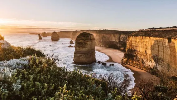 Australiens Great Ocean Road Zwölf Apostel umgekehrte Tour [Kleine Gruppe mit 24 Personen / Hin- und Rückfahrt ab Stadt inklusive Mittagessen]