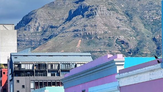 南非開普敦馬來區-Aquila動物保護區一日遊