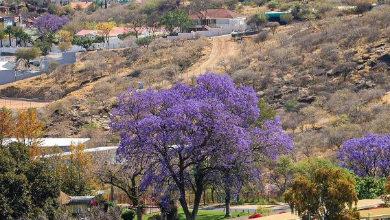 納米比亞&温得和克【包車一日遊】城市人文精華線