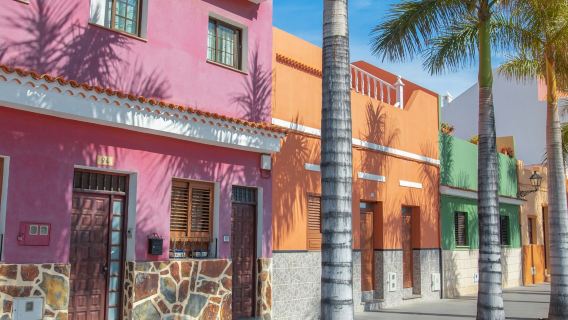 Puerto de la Cruz: tour di un giorno intero + trasferimento di andata e ritorno