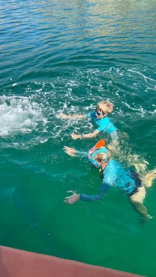 Same-day round-trip from Dubai to Oman for dolphin watching, with snorkeling options. Drinks and fruits are provided on board.