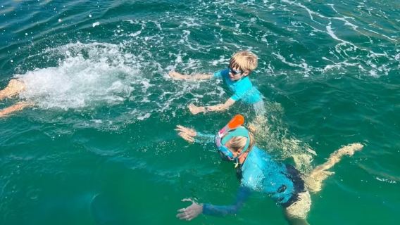 Viaje de ida y vuelta a Dubái en el mismo día para avistar delfines en Omán, con opción de snorkel y bebidas y frutas a bordo.