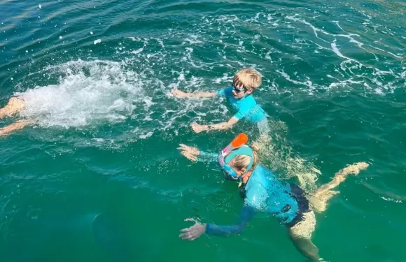 杜拜當天來回 出發阿曼追海豚 可浮潛 船上配有飲料水果